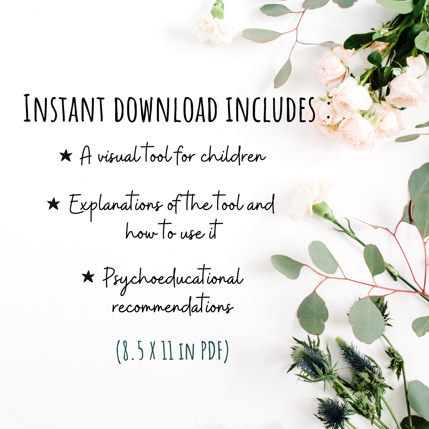Insectes - Coupons du Dodo