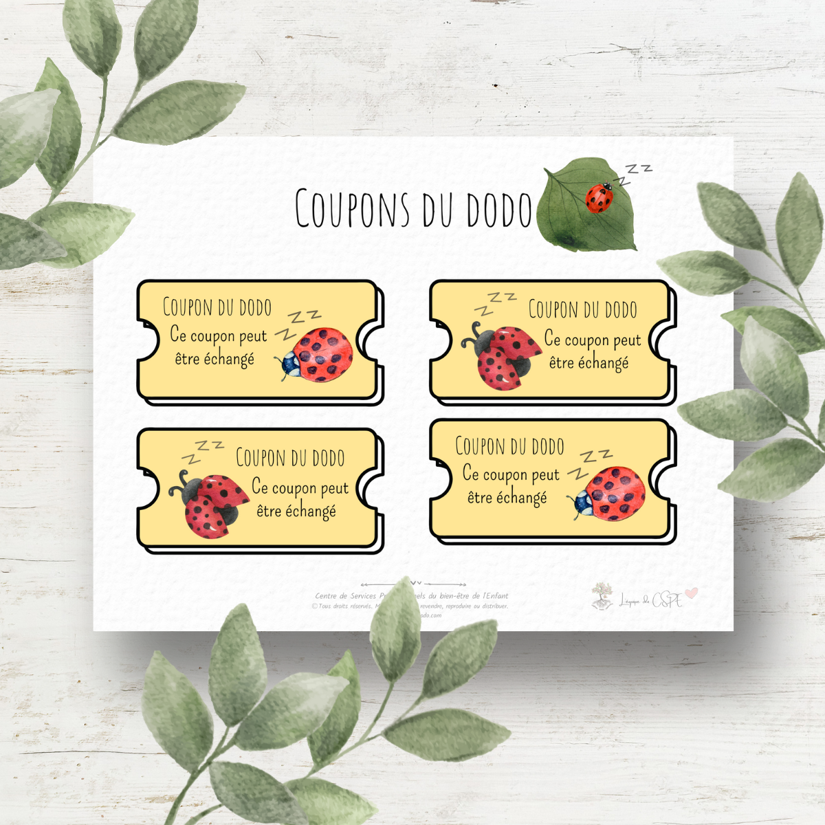 Insectes - Coupons du dodo