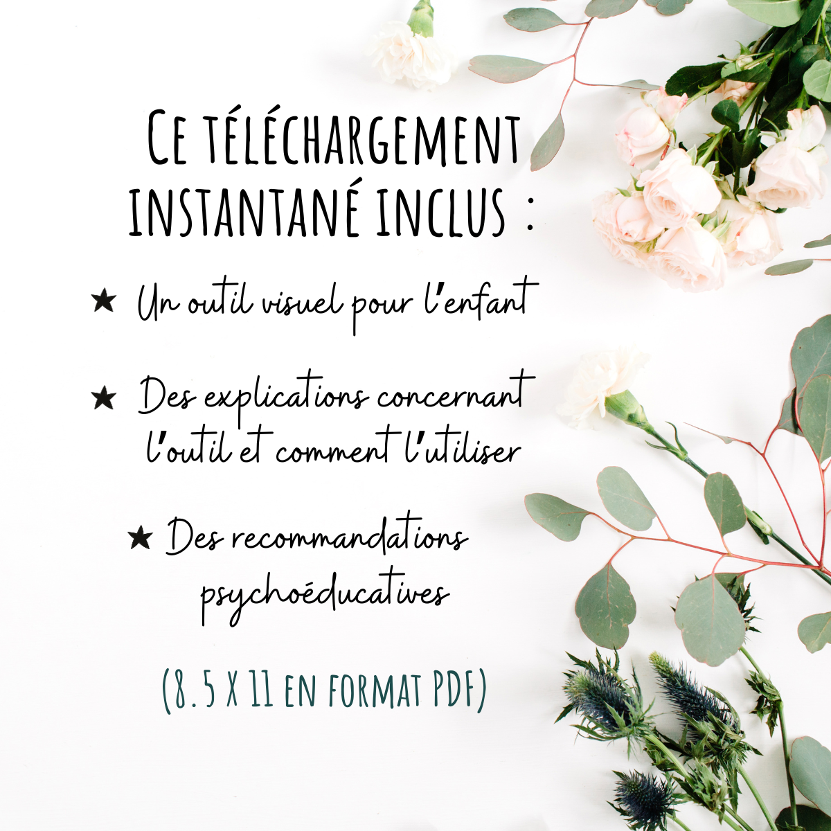 Insectes - Coupons du dodo