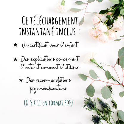 Certificat du Père Noël