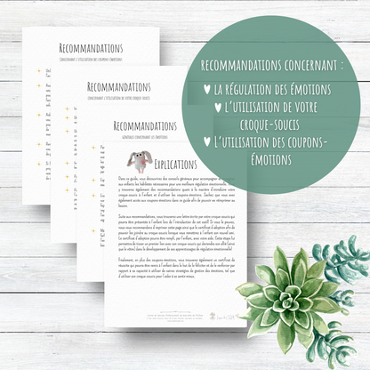 Petit douceur - Duo Croque-soucis + Accès à 2 outils psychoéducatifs téléchargeables